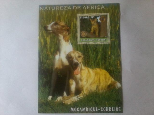 MOZAMBIQUE SHEET DOGS CATS ROTARY LIONS CLUB