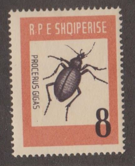 Albania Scott #662 Stamp - Mint Single