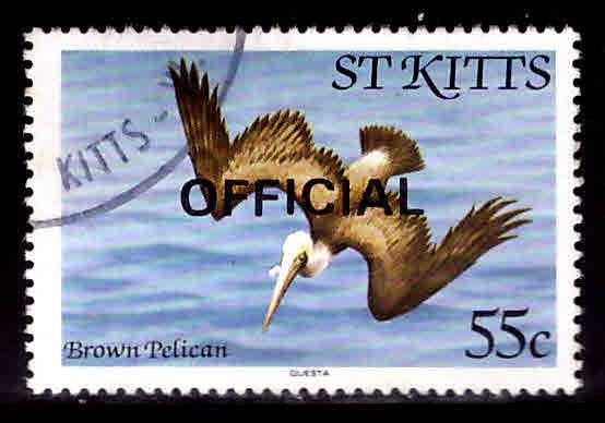 St Kitts Scott o18 used 1981 Official bird stamp