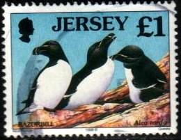 Bird, Razorbill, Jersey stamp SC#832 used