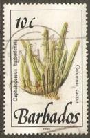 Barbados Used Sc 755 - Columnar Cactus