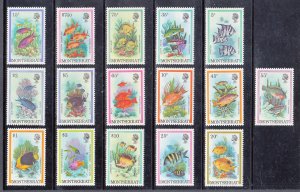 Monserrat Scott #445-460 MVLH