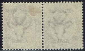 SOUTH WEST AFRICA 1923 KGV 1/3 PAIR SETTING III 