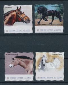 [97740] Sierra Leone 2010 Farm Animals Horses  MNH