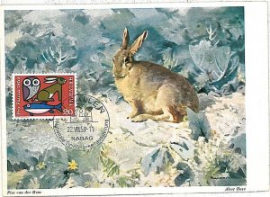 32208 - SWIZZERLAND  - POSTAL HISTORY - MAXIMUM CARD -  FAUNA  Hares, BIRDS OWL