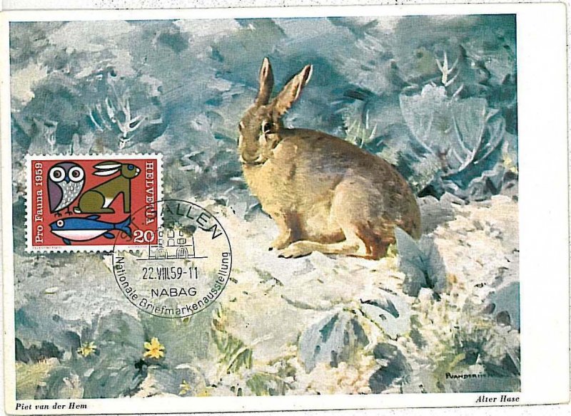 32208 - SWIZZERLAND  - POSTAL HISTORY - MAXIMUM CARD -  FAUNA  Hares, BIRDS OWL