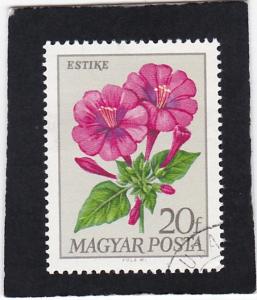 HUNGARY,  #  1926   used