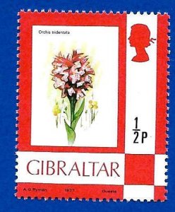 Gibraltar 1977 - MNH - Scott #340
