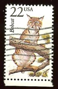 2332 22c Bobcat used