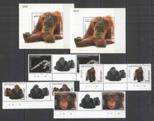 B0608 2016 Sierra Leone National Geographic Animals Monkeys Gutter 2Bl+2Set Mnh