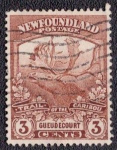 Canada Newfoundland - 117 1919 Used