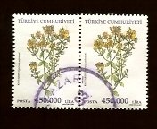 Turkey #2806 450,000 I Medicinal Plants - Hupercum Perforatum