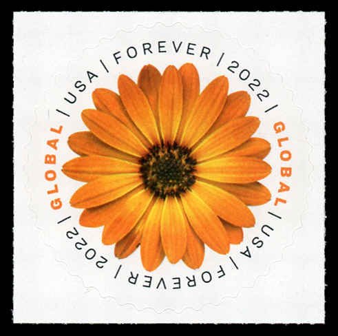 USA 5680 Mint (NH) African Daisy (Global International $1.45)