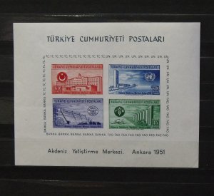 7128   Turkey   MH # 1054a   Souvenir Sheet       CV$ 95.00