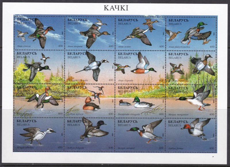 Belarus, Fauna, Birds MNH /1996