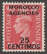 102,Mint Morocco