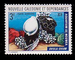 New Caledonia C111 MHR