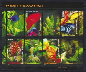 Romania 2005 Fishes Mint MNH Miniature Sheet SC 4714a