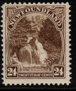 NEWFOUNDLAND SG162 1924 24c SEPIA MTD MINT