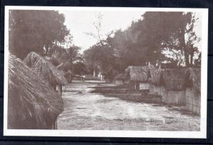 Seychelles Denis Island Village RP postcard unused A1 Mc Corquodale WS9664