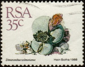 South Africa 746 - Used - 35c Dintheranthus Succulent (1988)