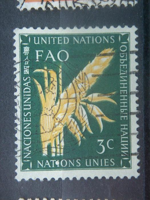 UN, 1954, used 3c, FAO. Scott 24