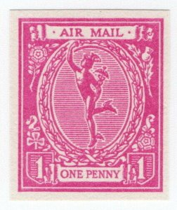 (I.B) George V Cinderella : Mercury Air Mail Essay 1d (exhibition reprint)