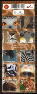 Belgium Stamp 2644-2653  - Antwerp Zoo animals 