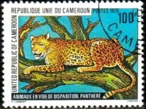Leopard, Protected Animal, Cameroun stamp SC#657 used