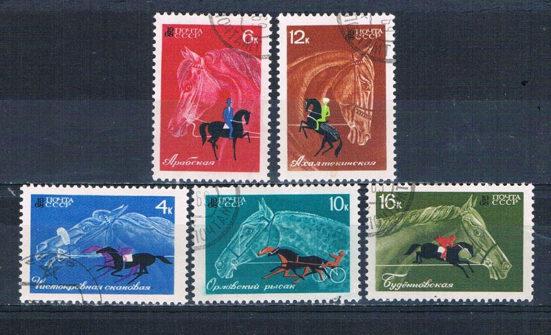 Russia 3433-37 Used set Horse breeding 1968 (R0864)