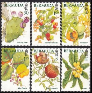 BERMUDA 2024 FRUITS OBST FRUTTA FRUTAS BLUMEN FLEURS FLORES FIORI