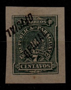 Paraguay O4 unused/ double ovpt.