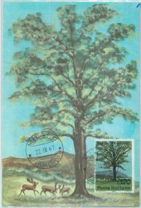 68684 - ITALY - Postal History - MAXIMUM CARD 1967 - NATURE: Trees