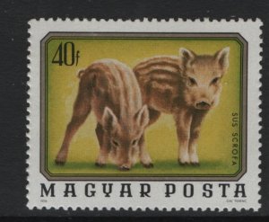 Hungary     #2404  MNH  1976  young animals 40f wild boars