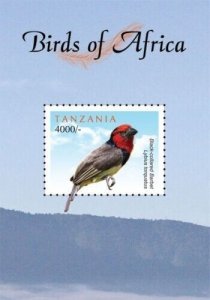Tanzania 2011 - Birds of Africa, Barbet - Souvenir Sheet - Scott 2638 - MNH