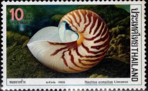 THAILAND Scott 1308 MNH** Nautilus shell stamp