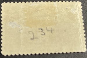U.S.# 234-MINT/HINGED*--SINGLE--CHOCOLATE--1893