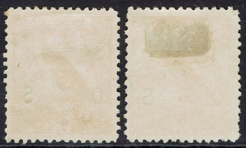 NEW GUINEA 1931 DATED BIRD OS 2D AND 6D USED