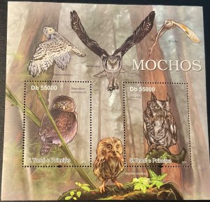 2011 TOME & PRINCE.  Owls. 1 block sheet (1 HB 2v) NHM-