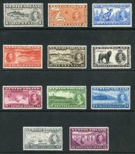 Newfoundland 1937 Set of 11 fine fresh M/M