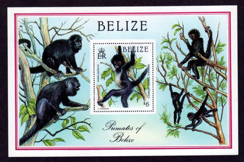 Belize 872 Mint NH S/S Spider Monkey!