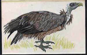 Nagaland 1969 Griffin Vulture - original hand-painted art...