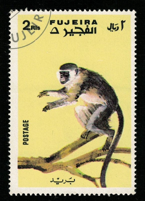 Apes and Monkeys, 2 Rls, 1971 (T-6814)