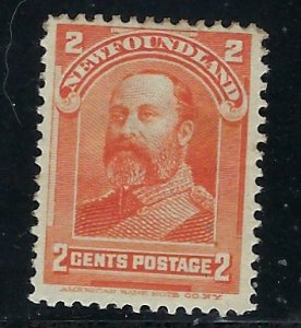 Newfoundland 81 MH 1897 issue (fe5993)