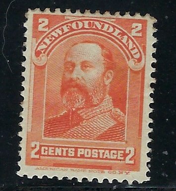 Newfoundland 81 MH 1897 issue (fe5993)