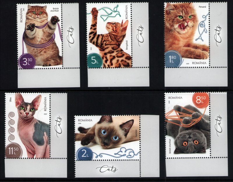 Romanian 2020 MNH Siamese Sphynx British shorthair Bengal Persian cats