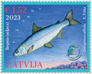 Latvia 2023 MNH Stamps Fish Fund for Nature