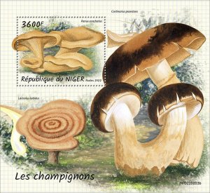 NIGER - 2022 - Mushrooms - Perf Souv Sheet - Mint Never Hinged
