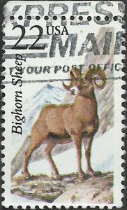 # 2288 USED BIGHORN SHEEP