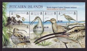 Pitcairn Is.-Sc#626a-unused NH sheet-Birds-Bristle-thighed Curlew-2005-